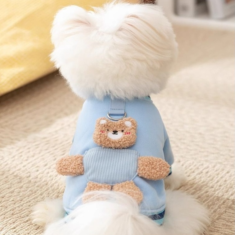 Cute 3D Bear Decor Dog Clothes with Leash Ring, Warm Soft Pet Sweatshirt, Fashionable Puppy Apparel for Small Dogs, Multiple Colors, for Daily Wear & 