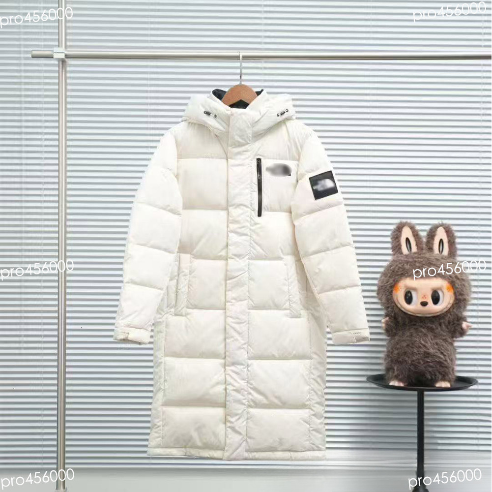 northfacc puffer jacket Designer Down coat northlys facelys Mens Puffy Windproof Mens Thenorth Face Fashion Womens outdoor Streetwear top quality uy7 959