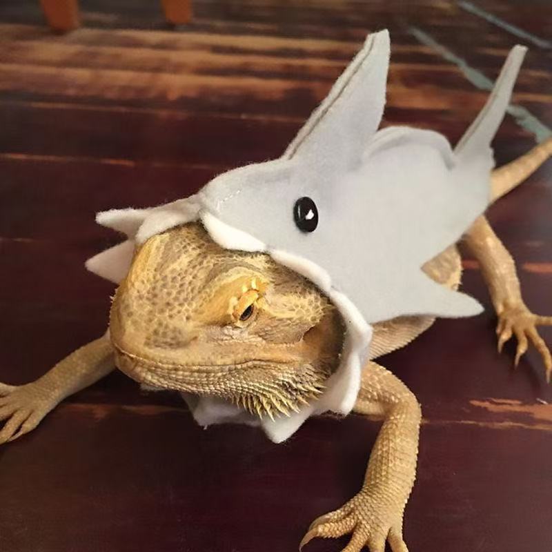 New cross-border product: felt lizard shark costume for small pets, transforming them into unique and personalized outfits.