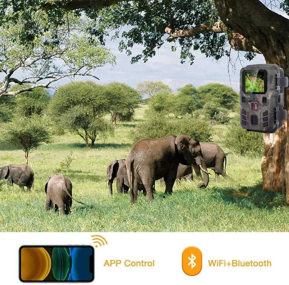 Outdoor WiFi Hunting Camera Application Control Tracking Camera Wireless BT 24MP 1296P Night Vision Sports Wildlife Trap Photos X2504111