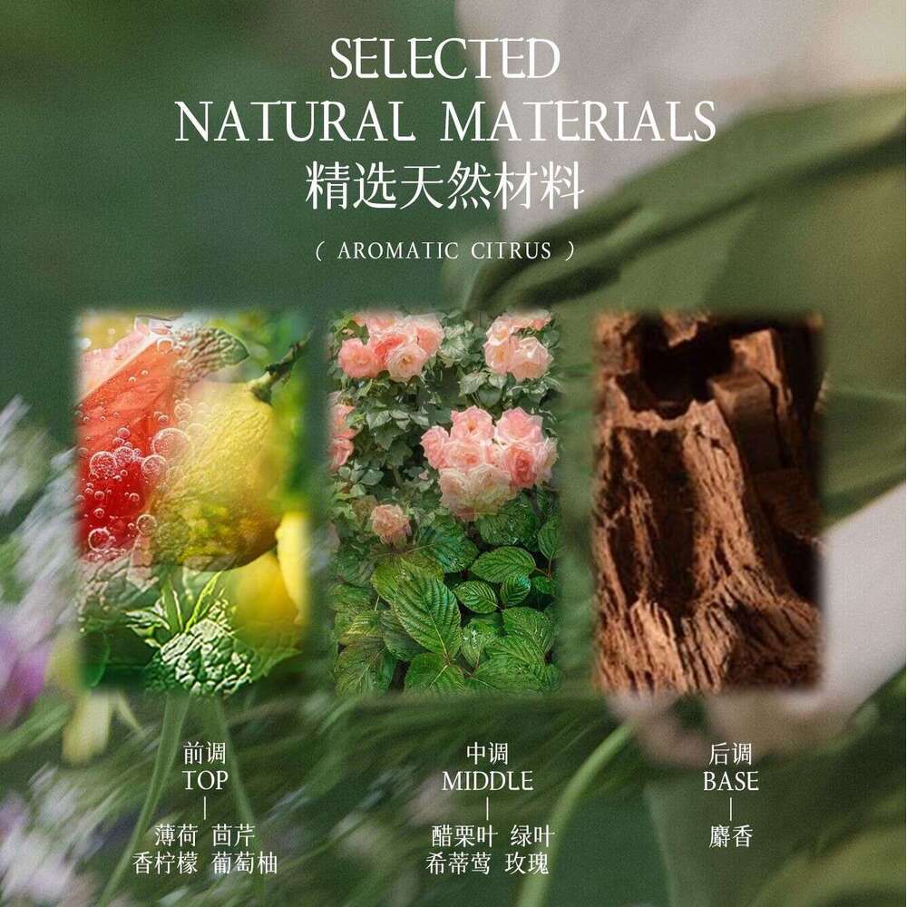 Designer Perfume Cross Border Foreign Trade Hot Selling Women S Floral Woody Citrus Fragrance Fresh Light Scent Student Perfume Custom OEM