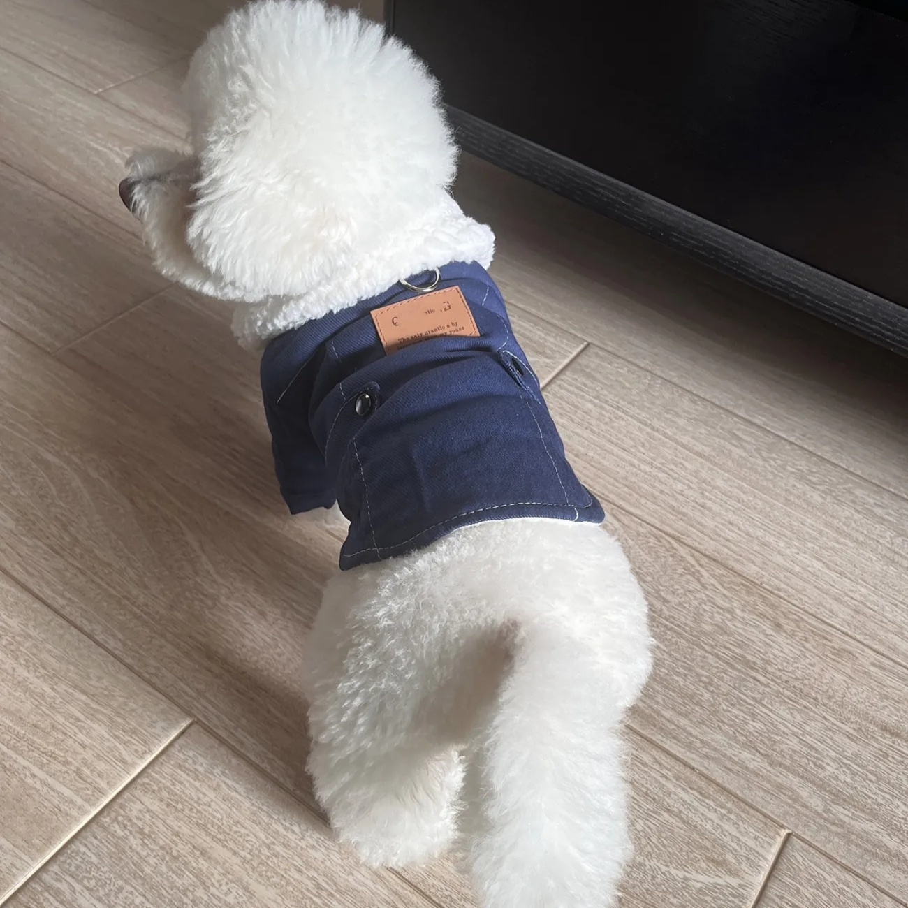 Warm Fleece Collar, Stylish Denim Design Dog Jacket, Trendy Pet Winter Coat with Pockets, Fashionable Cold-Resistant Apparel for Small Dogs, for Outdo
