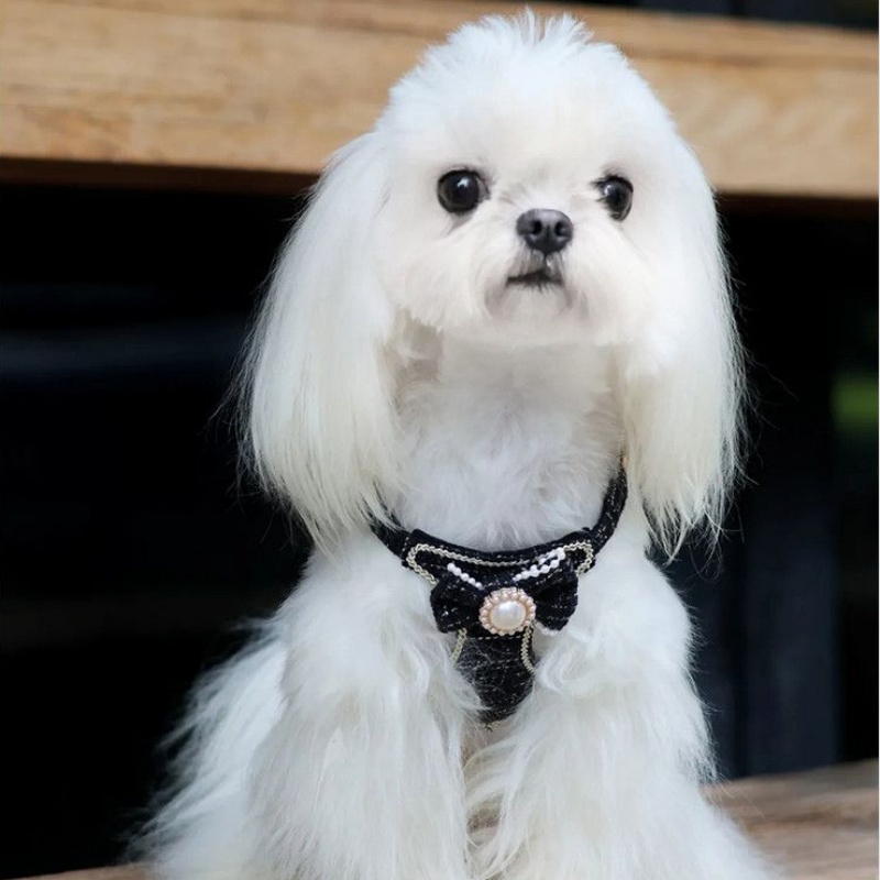 Fashion Tweed Dog Harness and Leash Set, Small Dog Exclusive, Pearl Bow & Gold Accents, Adjustable Neck & Chest Girth, Durable Hardware, Stylish Walki