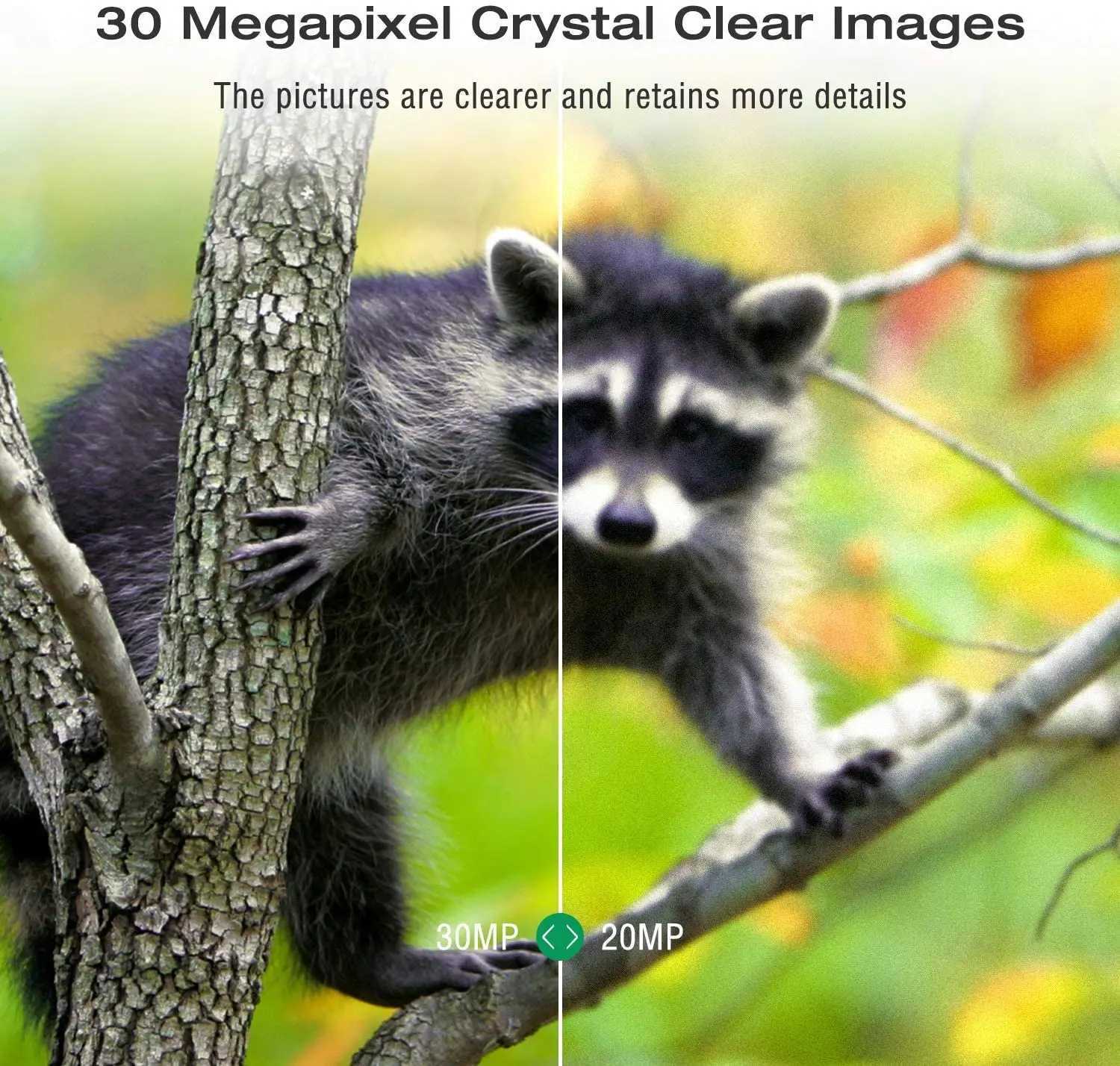 Free application cloud service 4G tracking camera 4K 30MP real-time broadcast wildlife hunting cellular wireless camera HC801PRO photo trap X2504111