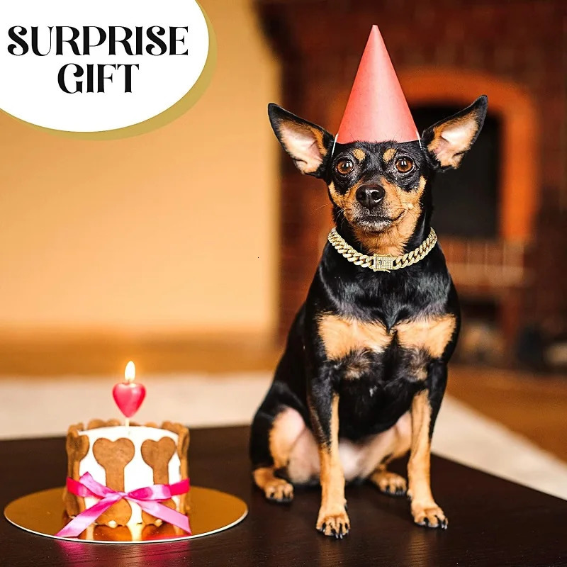 Dog Chain Collar y Gold Pet Metal For Small Medium Large Dogs Cats Jewelry Necklace Accessorie 251110