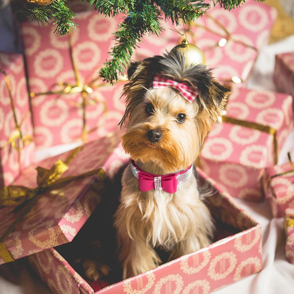 Small Medium Bling Rhinestone Suede Leather Bowknot Accessories Dog Collar Adjustable Pet Puppy Kitten Pug Necklace Collars 251104