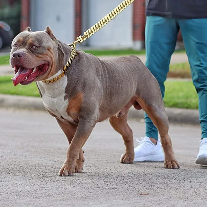 Dog Collars Leashes Strong Golden Choker Pets Cuban Link Chain 32mm Width Stainless Steel for Medium Large Bulldog