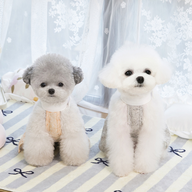 Leisure Dog Clothing Summer Cool Dress Cute Princess Dog Dress Little Angel Wing Decoration Puppy Dresses Girl Dog Clothes for Small Dogs Cats Chihuah