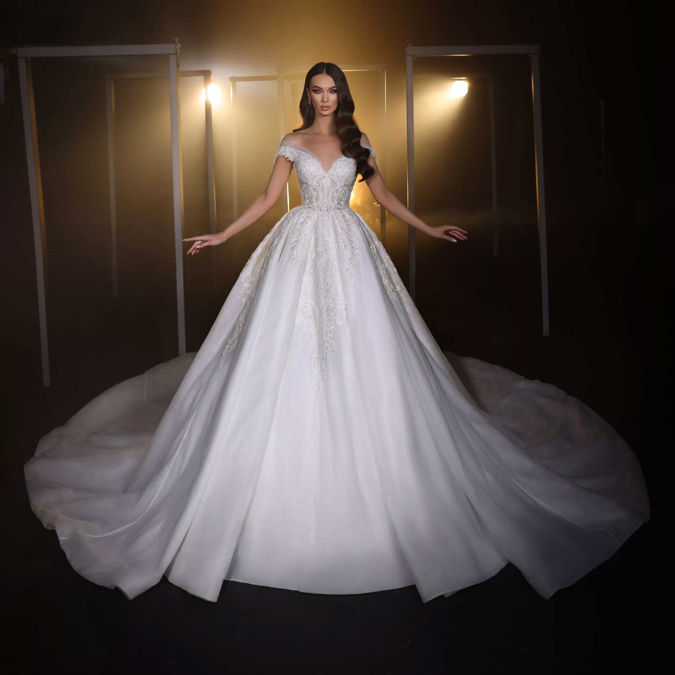 Classic Wedding Dresses Ball Gown Shine Lace Appliques Sexy Bridal Gowns Sequins Lace Royal Tail vestidos de fiesta Customized Plus Size H25641