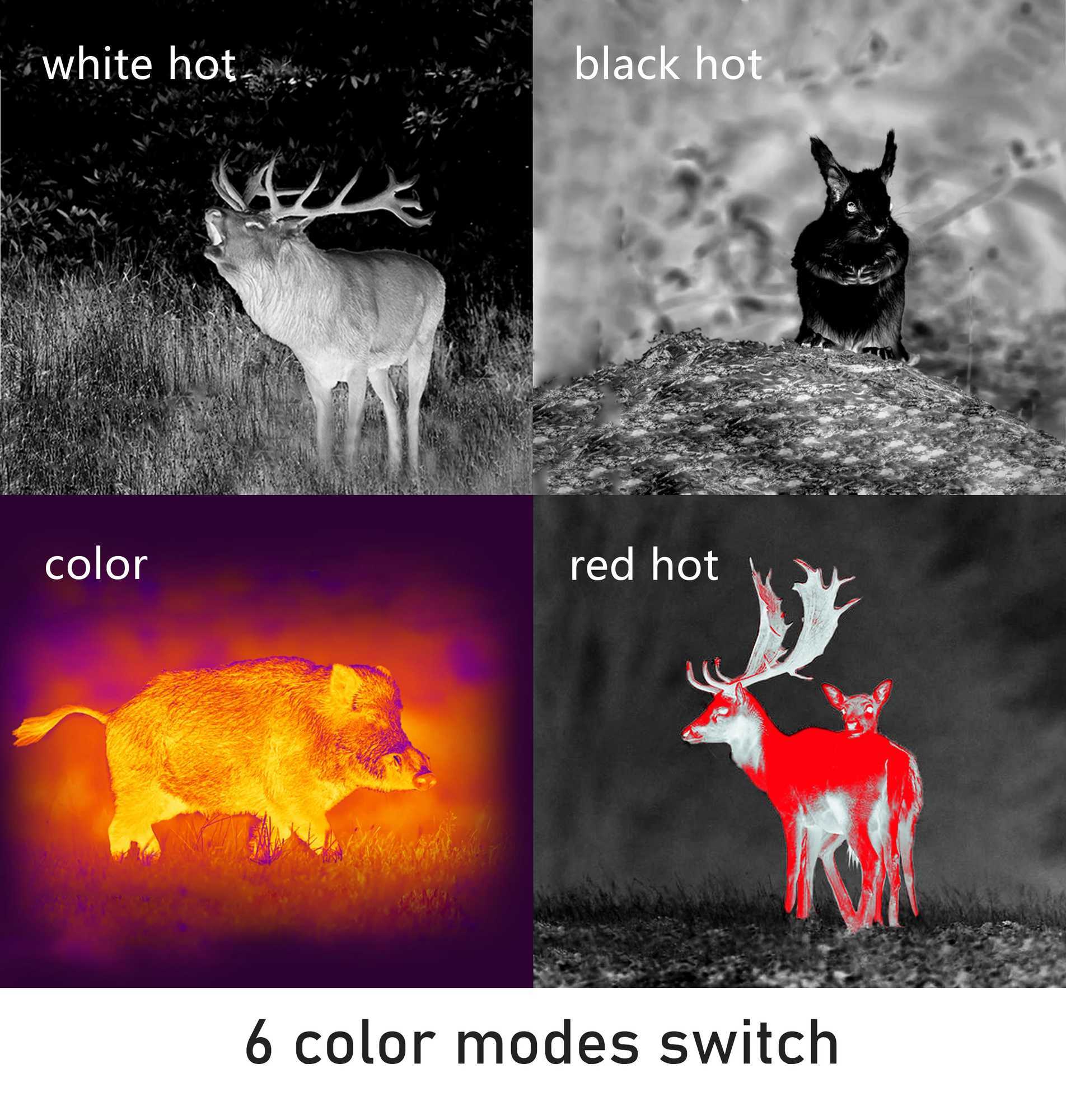 Handheld thermal imaging camera hunting single point digital camera imager 25mk network 640 * 480 12 m PARD TA62 X250411