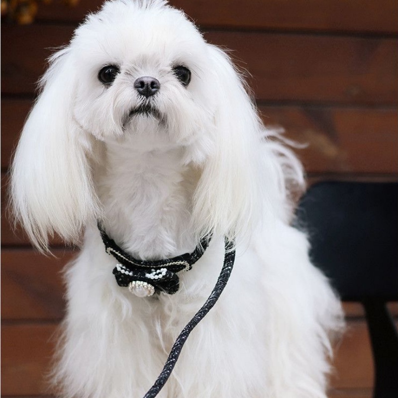 Fashion Tweed Dog Harness and Leash Set, Small Dog Exclusive, Pearl Bow & Gold Accents, Adjustable Neck & Chest Girth, Durable Hardware, Stylish Walki