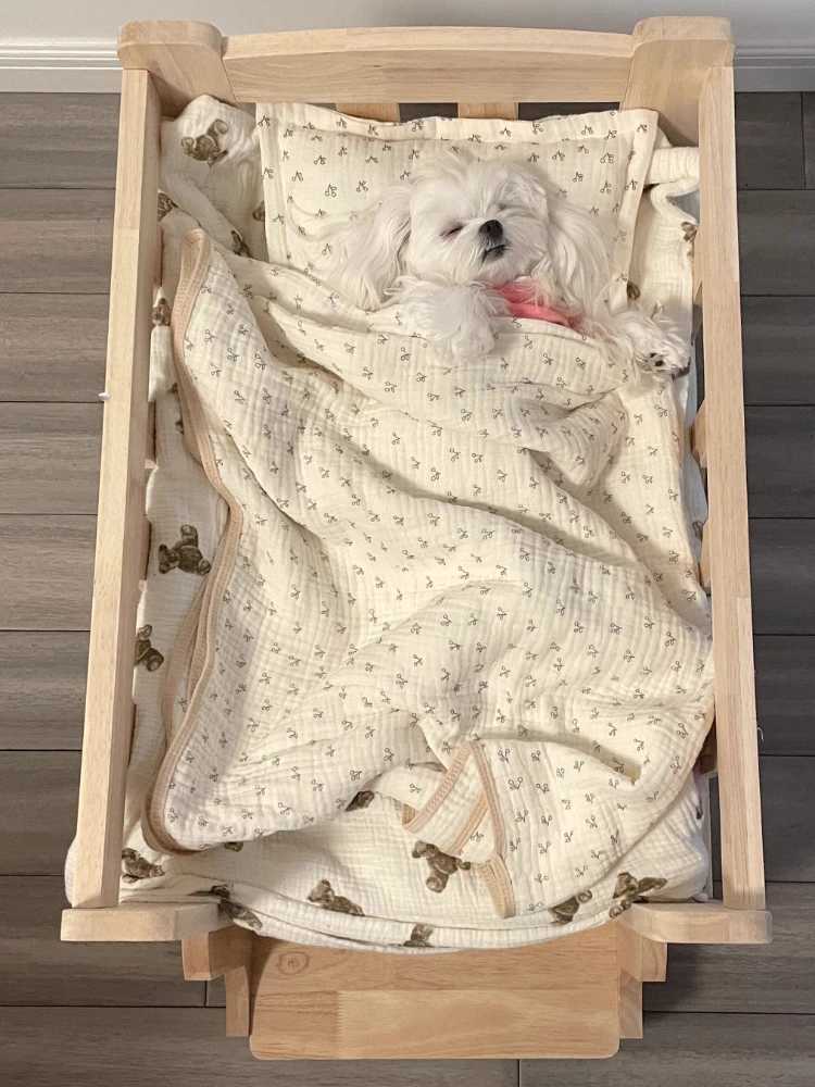 Solid wood pet bed wooden dog bed frame dog house furniture pet products bed frame elevated fence circular corner X250412