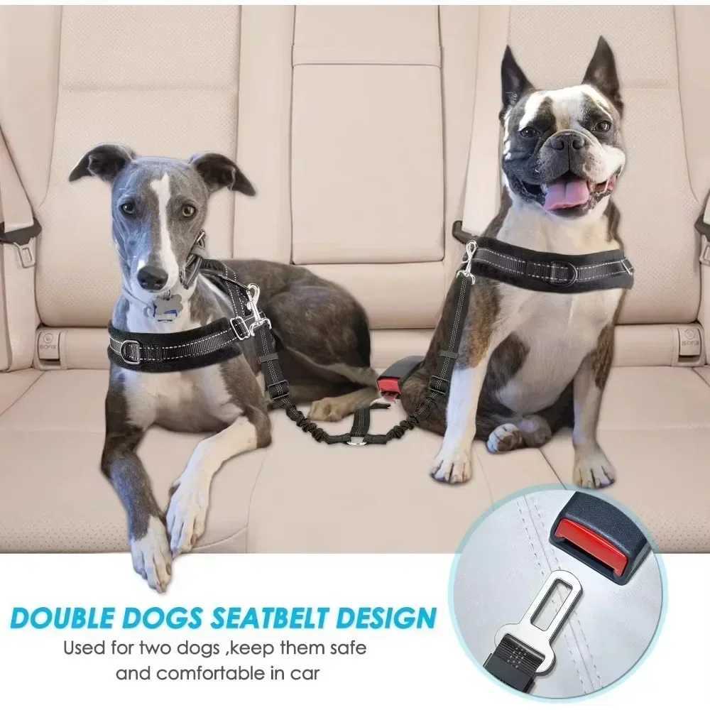 Durable nylon dog seat strap suitable for small dogs adjustable reflective elastic lead small dog station wagon safety rope Bldo France Y250412