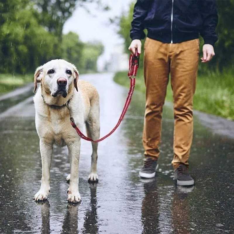 Dog harness for vehicle and pet safety dog leash for dog harness Y250412