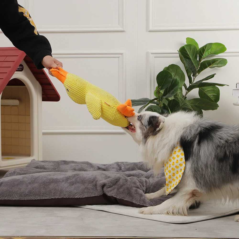 High Quality HOOPET Dog Sleep Toy Duck Chewing Sound Toy Used for Small Medium and Large Dogs Outdoor Interactive Pet Training Toys Dog Accessories T2