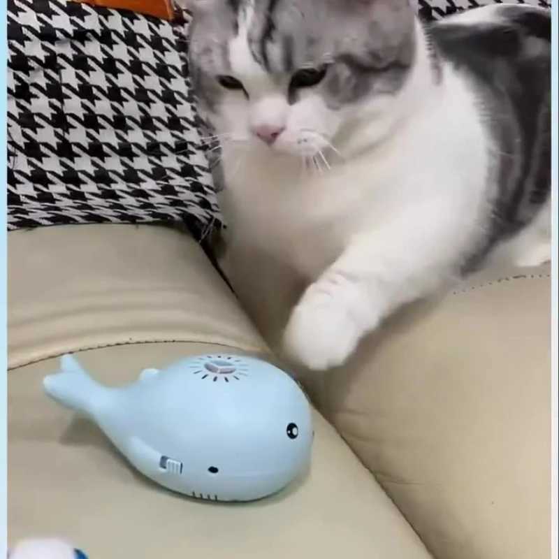 Cat Electric Toy Portable Floating Ball Cat Toy USB Powered Cat Interactive Playing Ball Toy Cartoon Cat Training Toy Y250412