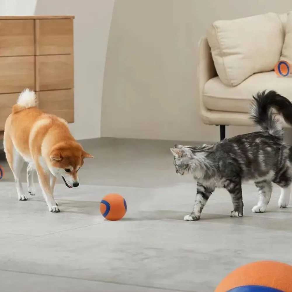 Dog toy ball dog grabbing ball toy hard pet ball puppy chewing toy solid elastic jumping ball pet accessories Z250412