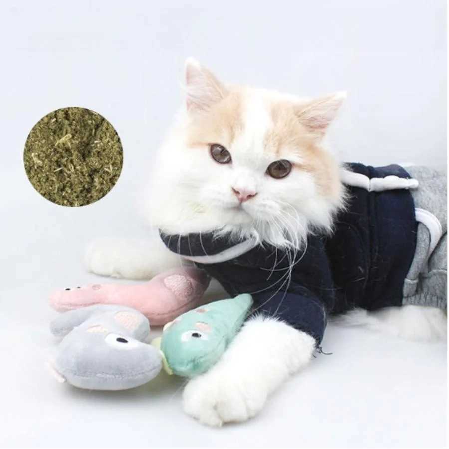 Pet Plush Bite Toy Cartoon Stuffed Animal Cute Plush Cat Chewing Toy Interactive Pet Toy Y250412