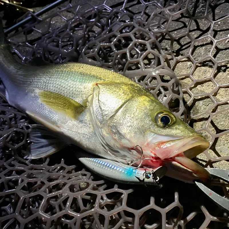 Minnow lure Bait Komomo II 13g/16g sunken Floating Swaying Bass Saltwater Fishing Minnow popper Artificial Bait Ima Komomo lures Z250411