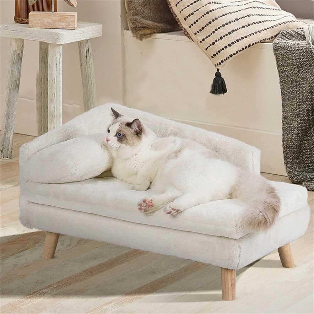 Luxury elevator dog sofa bed with backrest plush pad wooden legs raised dog bed small mid-range dog and cat chair lounge chair X250412