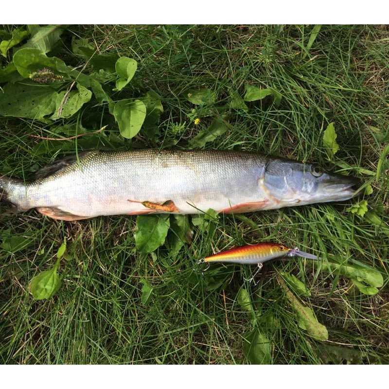 NEW 11cm 10.5g Hard Bait Minnow Streak Fishing Lures Bass Fresh Water Hook Diving Perch Wobbler Jerkbait Z250411