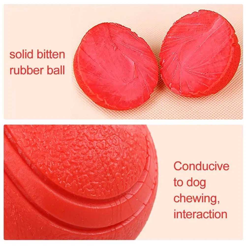 High Quality Madden S-XL size solid rubber bouncing bite resistant and indestructible dog training interactive pet toy plush ball T2504012