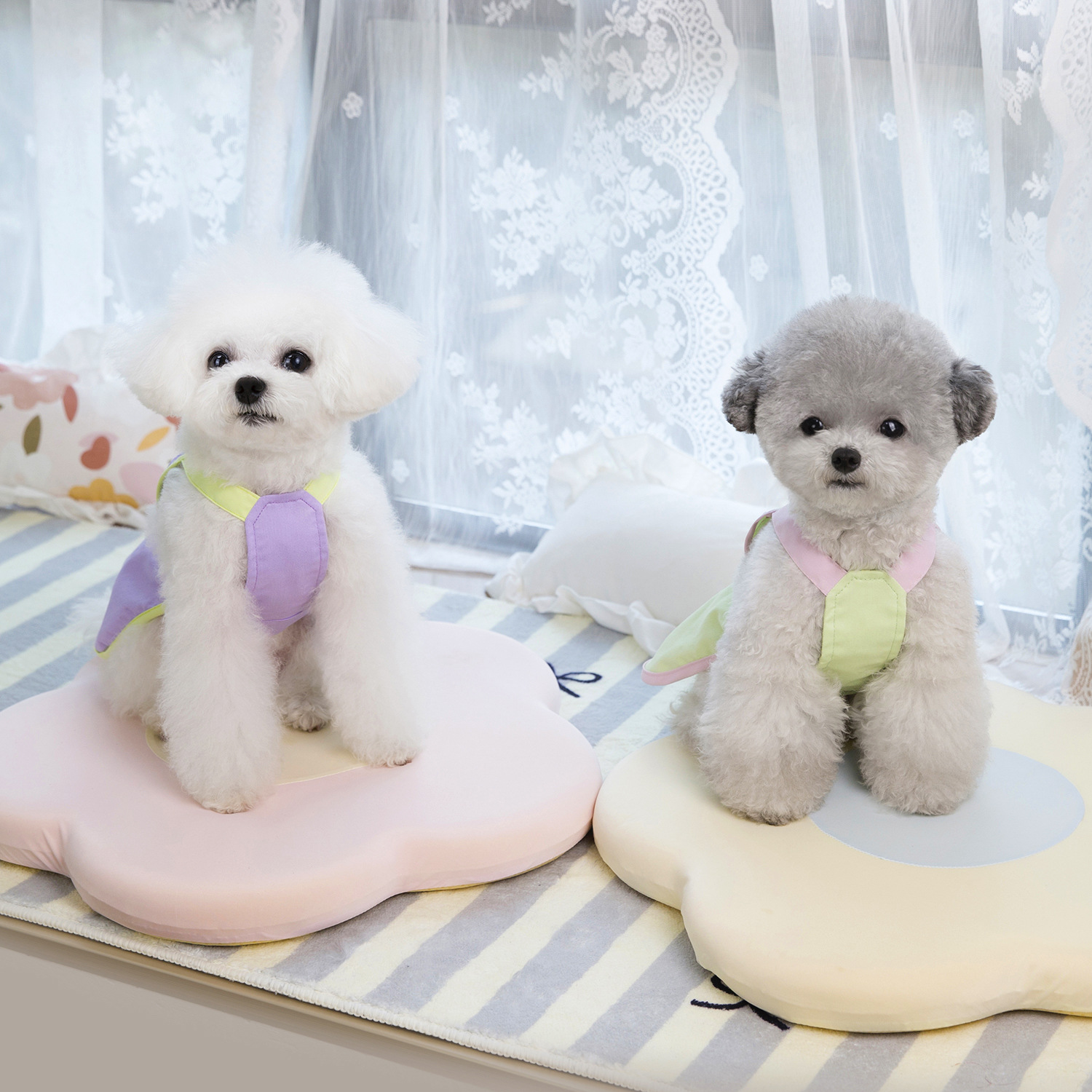 Leisure Dog Clothes Pet Dress Shirt Cute Dog Sundress Embroidered Letters Dress Puppy Summer Apparel Clothes Dog Skirt Shirt with Ruffles for Small Ca