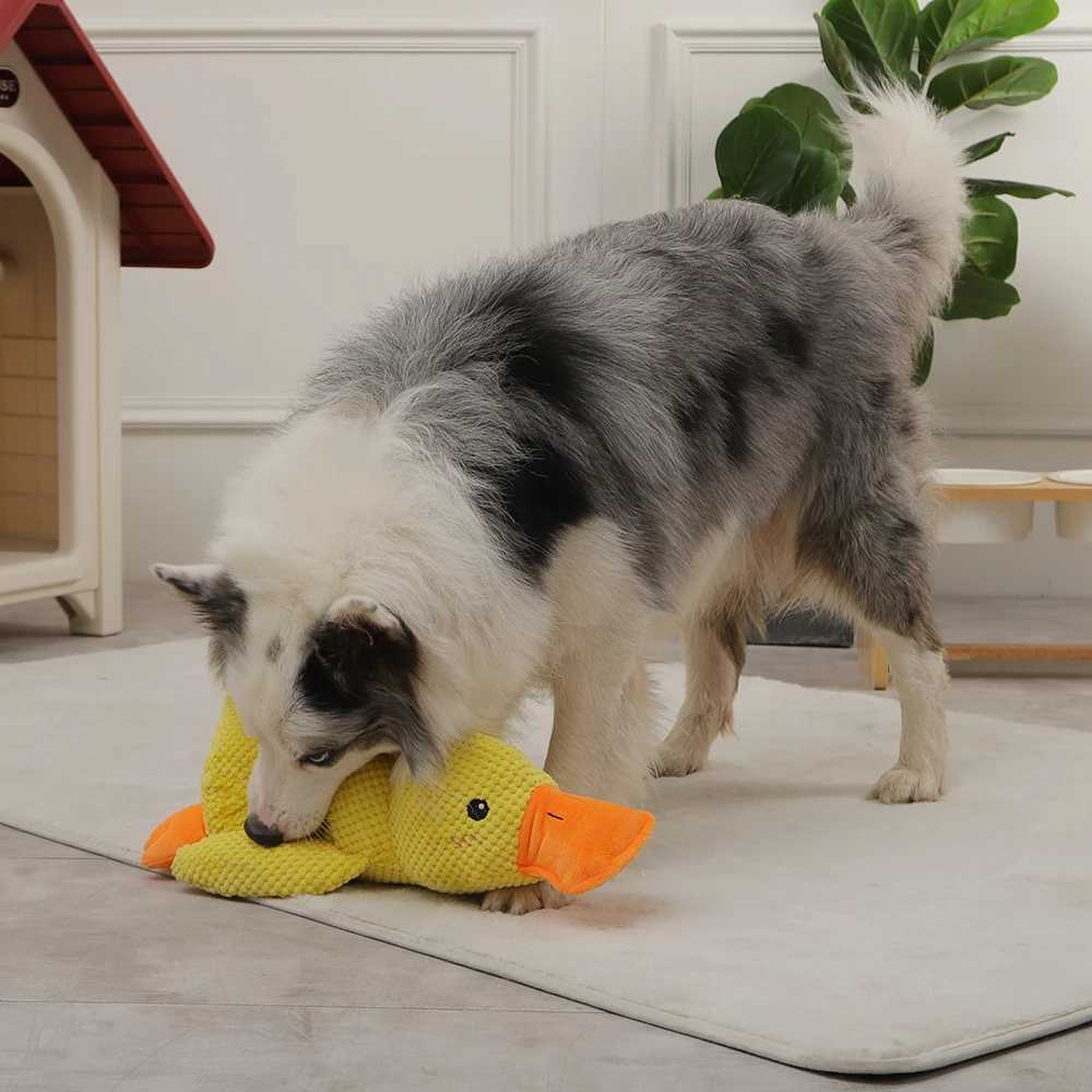 High Quality HOOPET Dog Sleep Toy Duck Chewing Sound Toy Used for Small Medium and Large Dogs Outdoor Interactive Pet Training Toys Dog Accessories T2