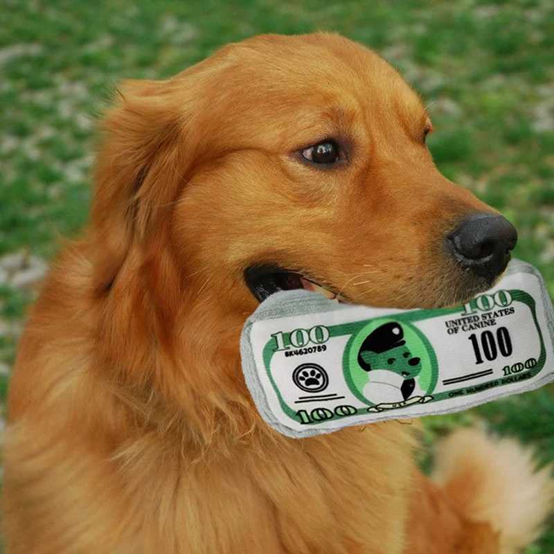High Quality Simulated money dog toy with fun squeaking sound soundproof paper bite resistance chewing dog toy teeth cleaning puppy toy pet supplies T