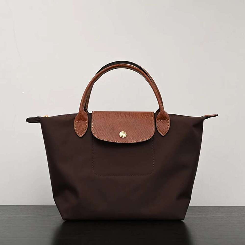 Designer Fashion Dumplings Large Bag Women Luxury Purse Shopper Shoulder Wallet Makeup Tote Brand Casual Longness Champly Handbag