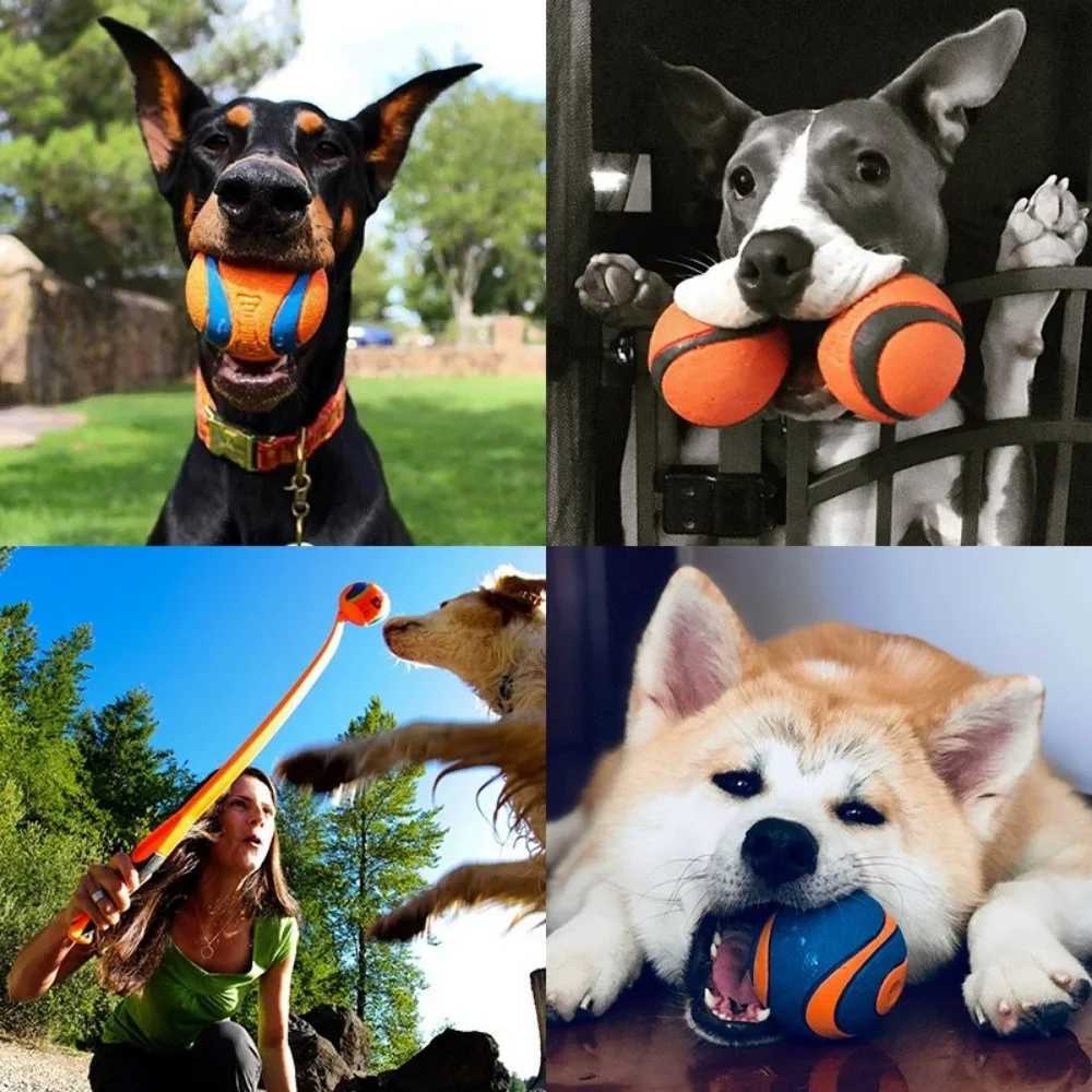 Dog toy ball dog grabbing ball toy hard pet ball puppy chewing toy solid elastic jumping ball pet accessories Z250412