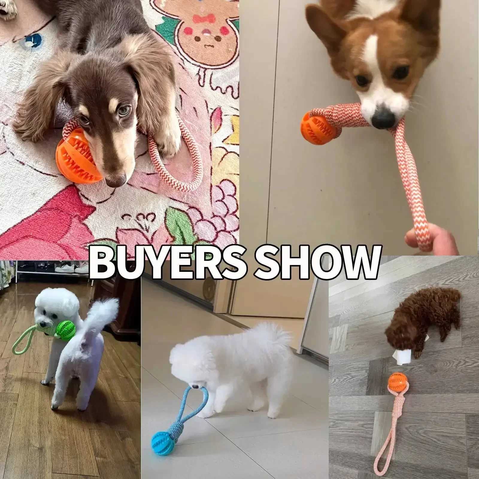High Quality Interactive ice skating ball toy with rope suitable for large dogs bite chew resistant and small dog training pet accessori T2504012