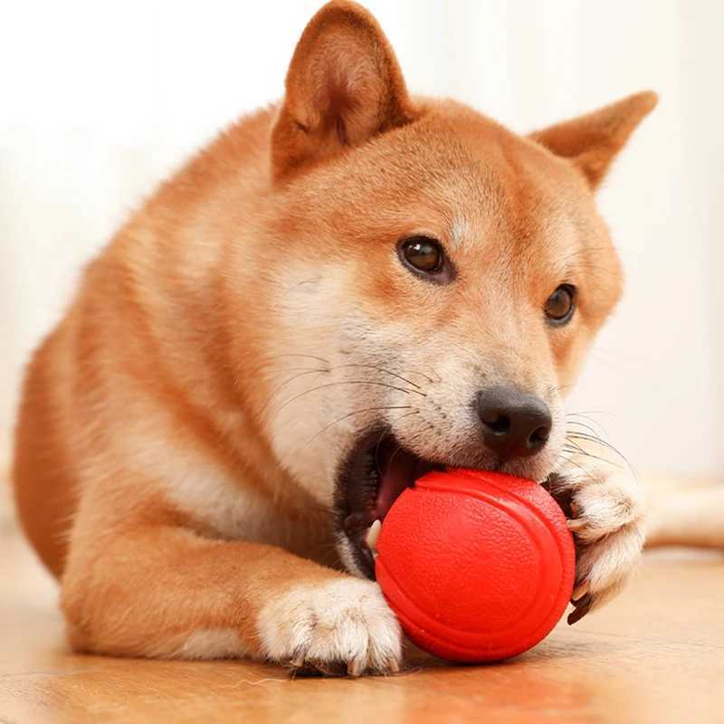 High Quality Madden S-XL size solid rubber bouncing bite resistant and indestructible dog training interactive pet toy plush ball T2504012