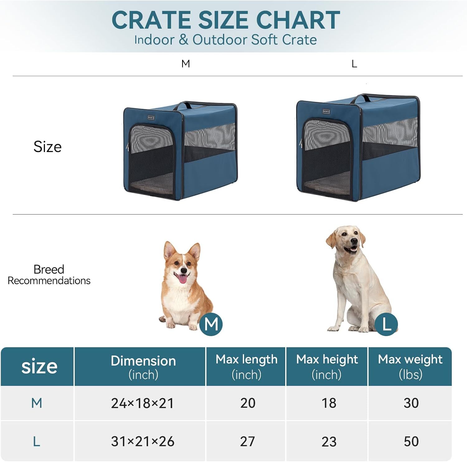 PETSFIT portable dog case, dog travel case -31 inches with thick padding, easy to fold, sturdy and portable, perfect for travel, foldable dog cage nav