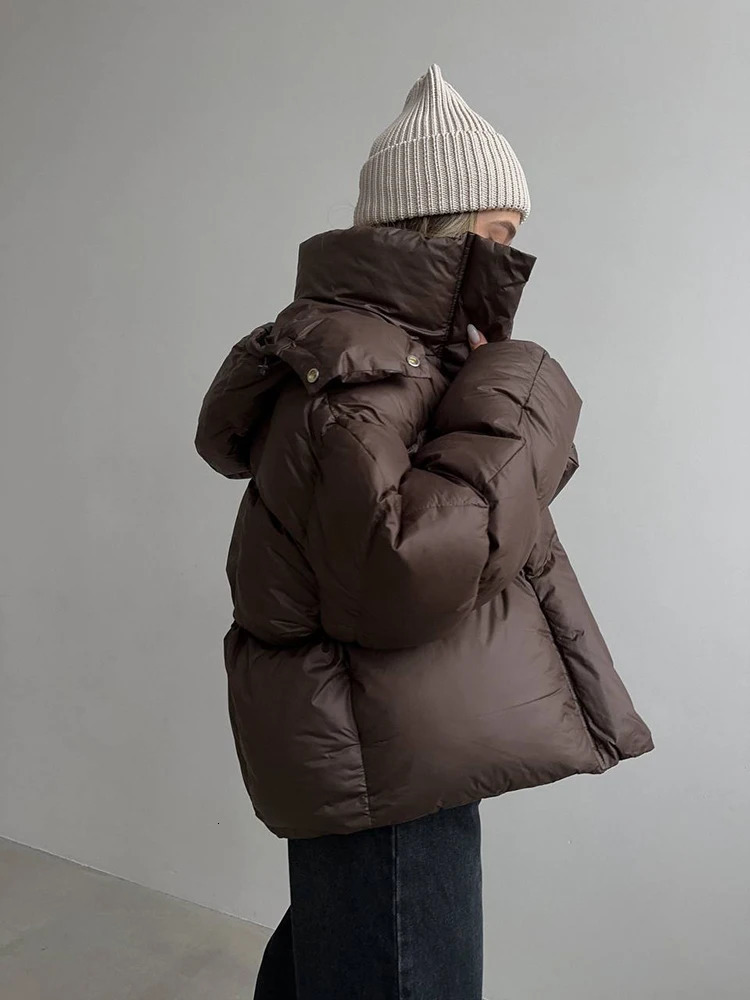 Winter Short Thick Hooded Puff Down Jacket Female Warm Loose Brown Jackets Women White Duck Zipper Parker Cotton Outwears 251107 - view 6