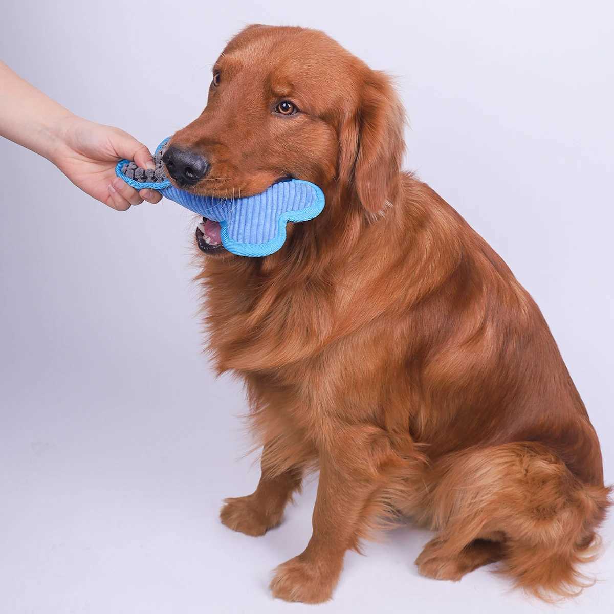 High Quality Plush squeeze bone toy suitable for small medium and large dogs stuffed toys and puppy birthday gifts T2504012