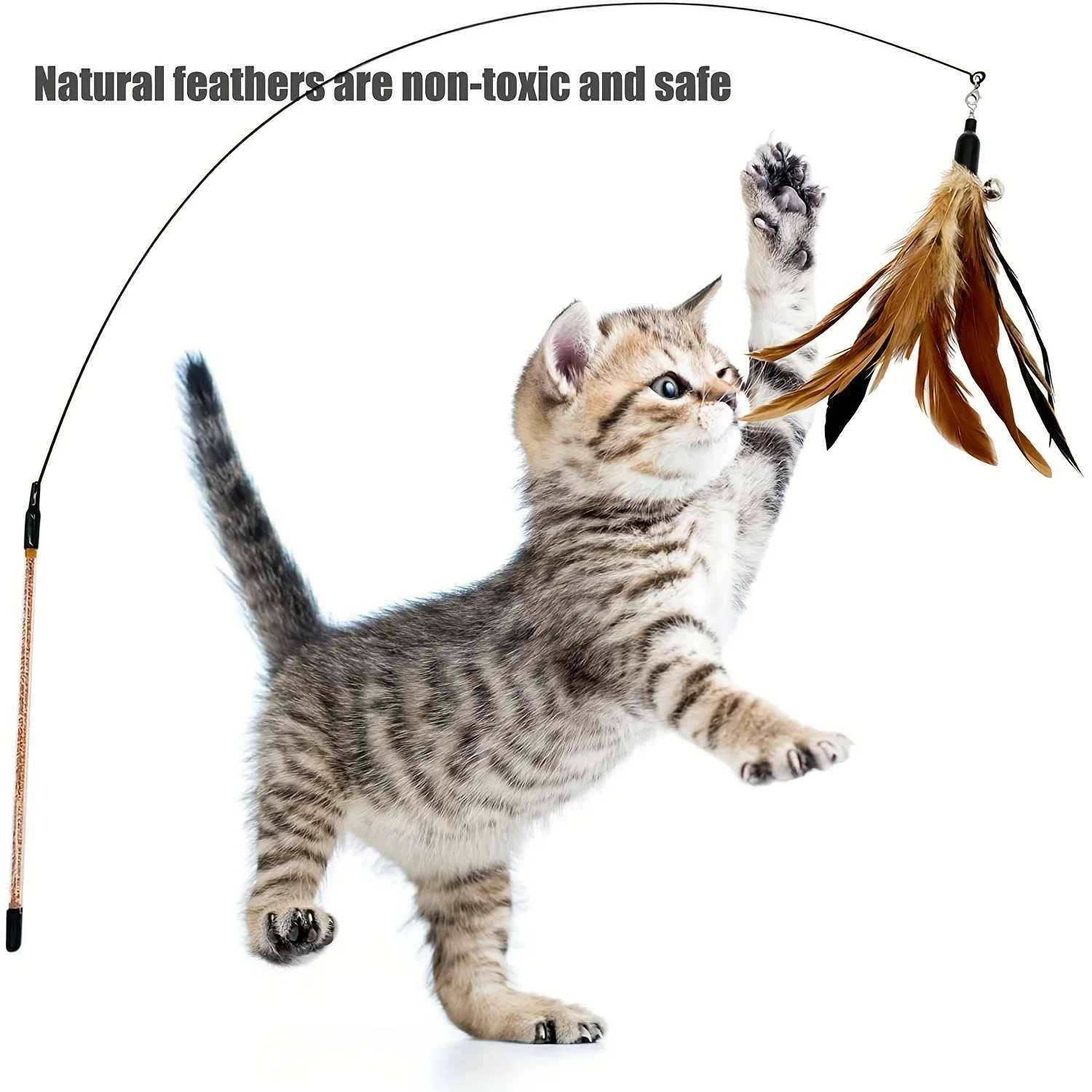 6 pieces of cat toy feather replacement cat wand filled with natural bird feather filling used for indoor cat replacement feather cat toys Y250412