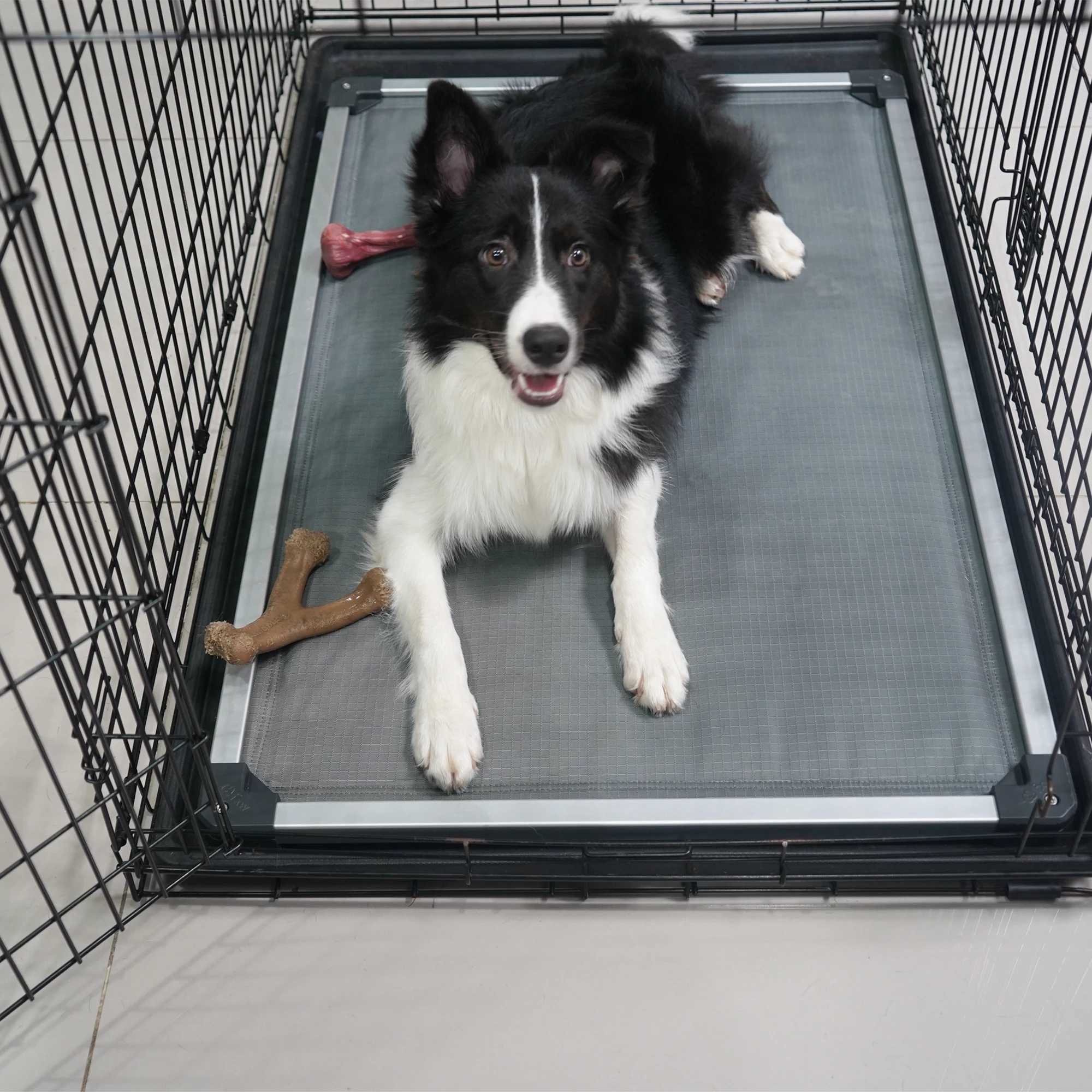FXW Titanest dog bed is used for Flat noodles box chewy elevator pad is used for indoor/outdoor/camping durable and washable pet bed X250412