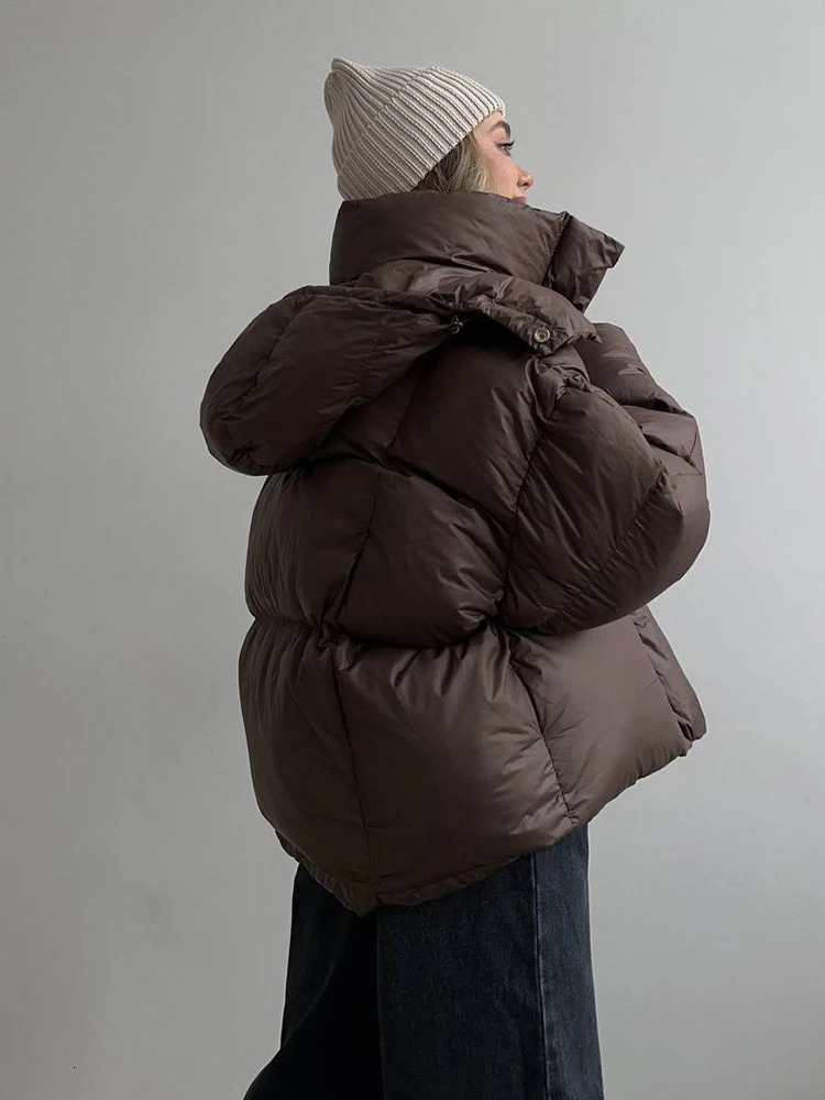 Winter Short Thick Hooded Puff Down Jacket Female Warm Loose Brown Jackets Women White Duck Zipper Parker Cotton Outwears 251107 - view 5