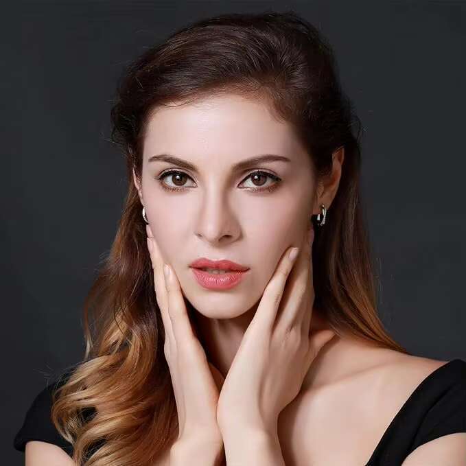 Hot Sale Classic Round Zircon Earring S Sterg Sier Delicate Personalized U-shaped Earrings