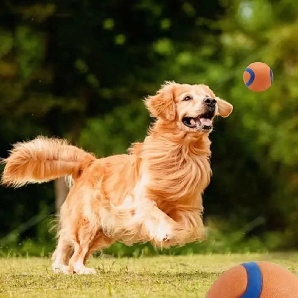 Dog toy ball dog grabbing ball toy hard pet ball puppy chewing toy solid elastic jumping ball pet accessories Z250412