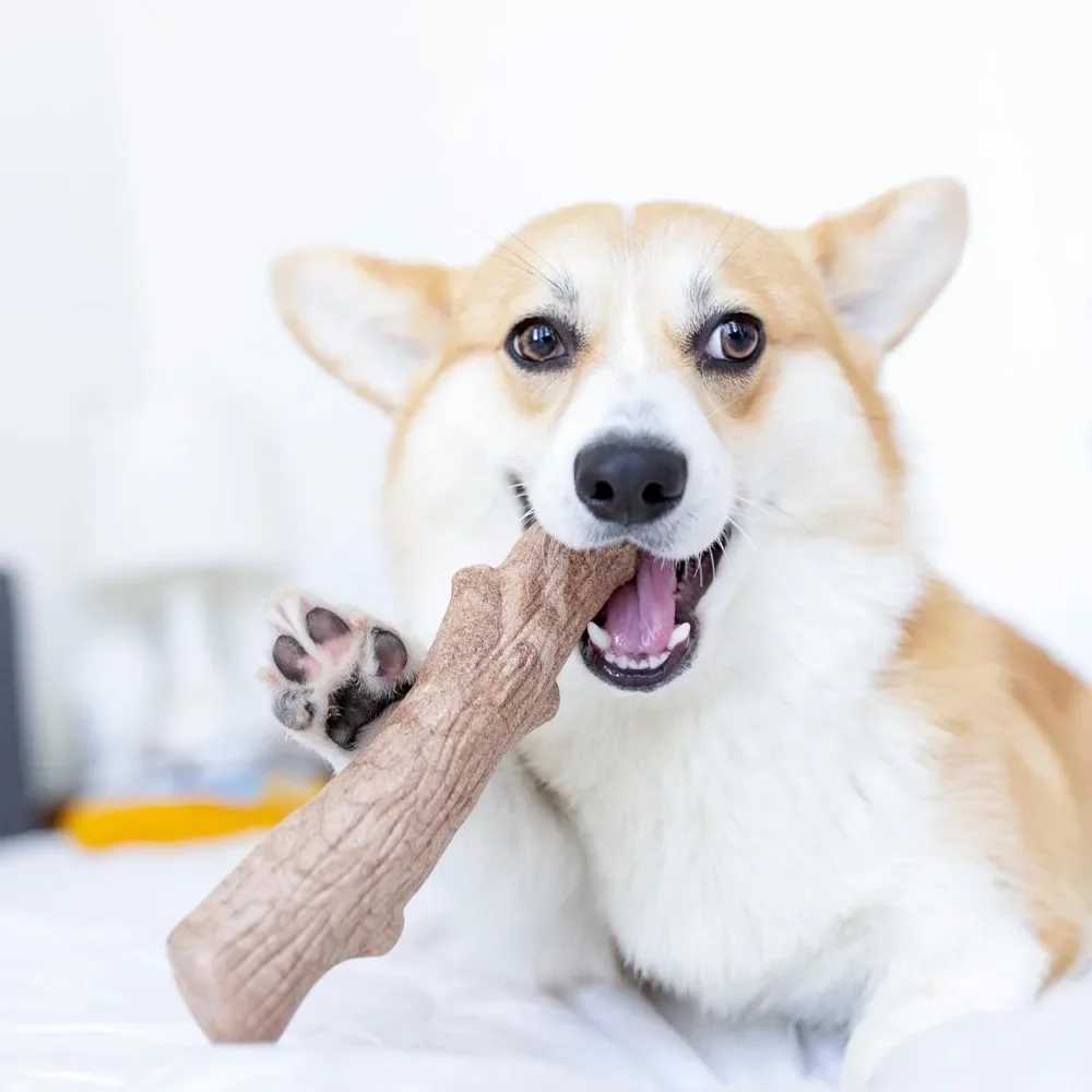 High Quality Redwood wood replaces dog chew toys big T2504012
