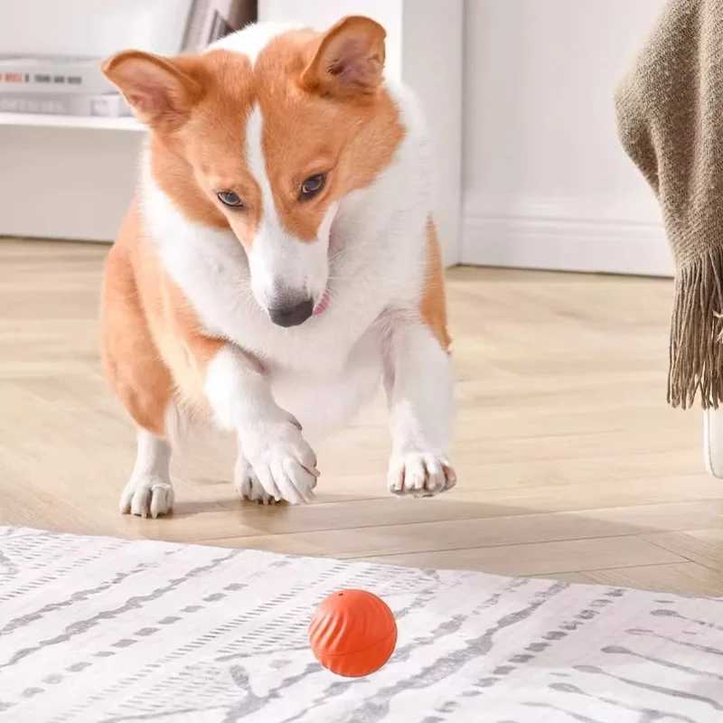 High Quality Pet toy ball automatic movement dog toy ball intelligent USB jumping rotation interactive dog chewing toy ball T2504012