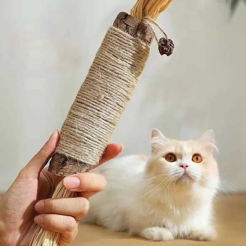 Catnip cat toy natural Matatabi pet snack stick for cleaning teeth removing hair to promote digestion silver vine kitten chewing toy Y250412