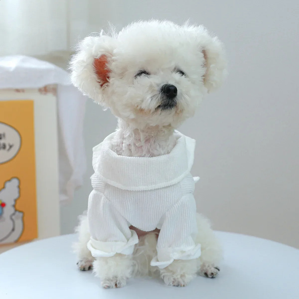 Denim Blue Shirt Costumes for Small Dogs Puppy Autumn Clothes XS XL Boy Uniform Pugs Chihuahua Apparel Yorkshire Terrier Suits 250407