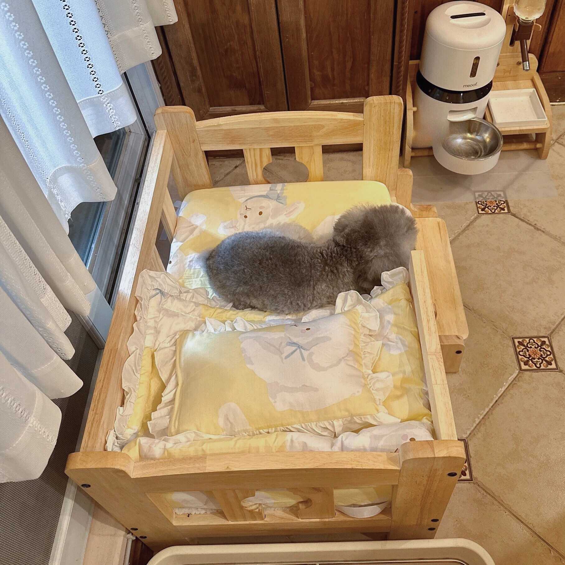 Cat shelter pet solid wood off ground small and medium-sized dog four season bed X250412