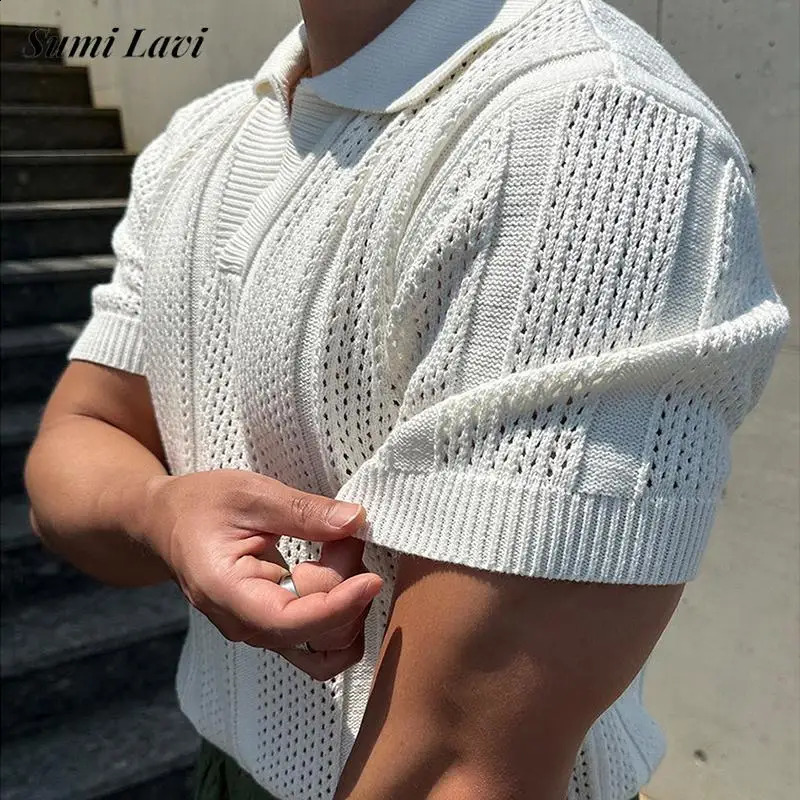 2025 Spring Summer Casual Mens Mesh Polo Shirts Slim Fit Knitted Short Sleeve Polo Tops Men Vintage Lapel Solid Color Pullovers 250409