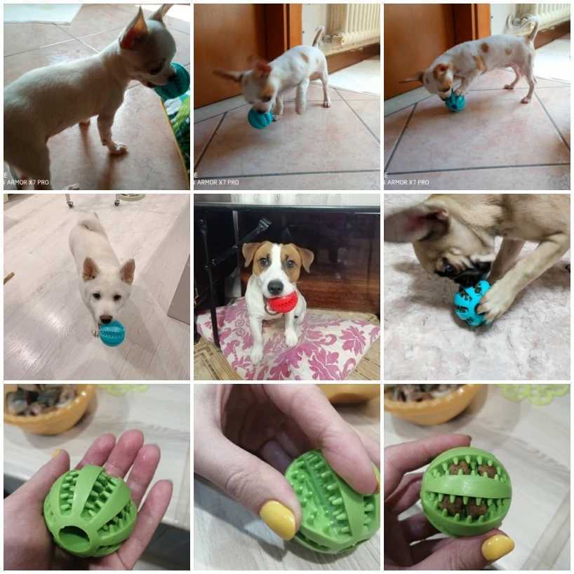 High Quality Rubber Tooth Cleaning Snack Ball Non Destructive Dog Toy for Dogs Soft Pet Chewing Toy for Large Dogs Interactive Dog Accessories T250401