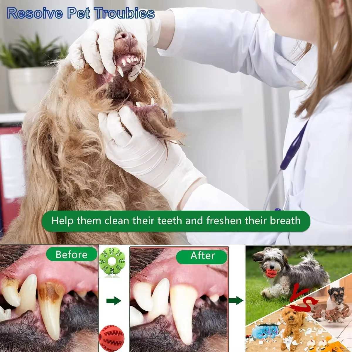 High Quality 5cm natural rubber pet dog toy dog chew toy teeth cleaning treatment ball super hard interactive elastic ball for pet products T2504012