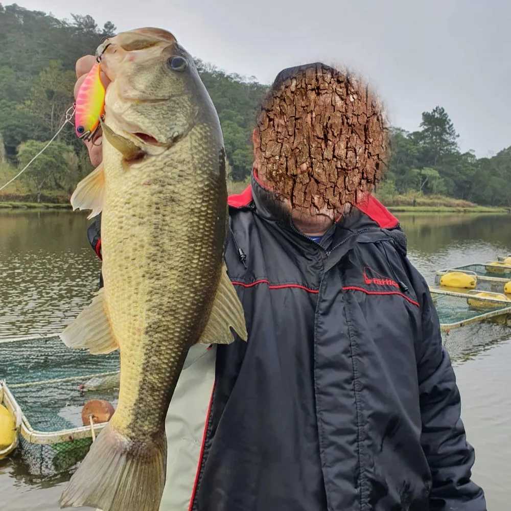 TSUYOKI 2024 VIB Lure 60mm 12g Sinking Vibration Fishing Lures Lipless Crankbait Noisy Rattlin Wobbler Jackall TN60 Ratter Bait Z250411